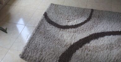 lavado de alfombras cali