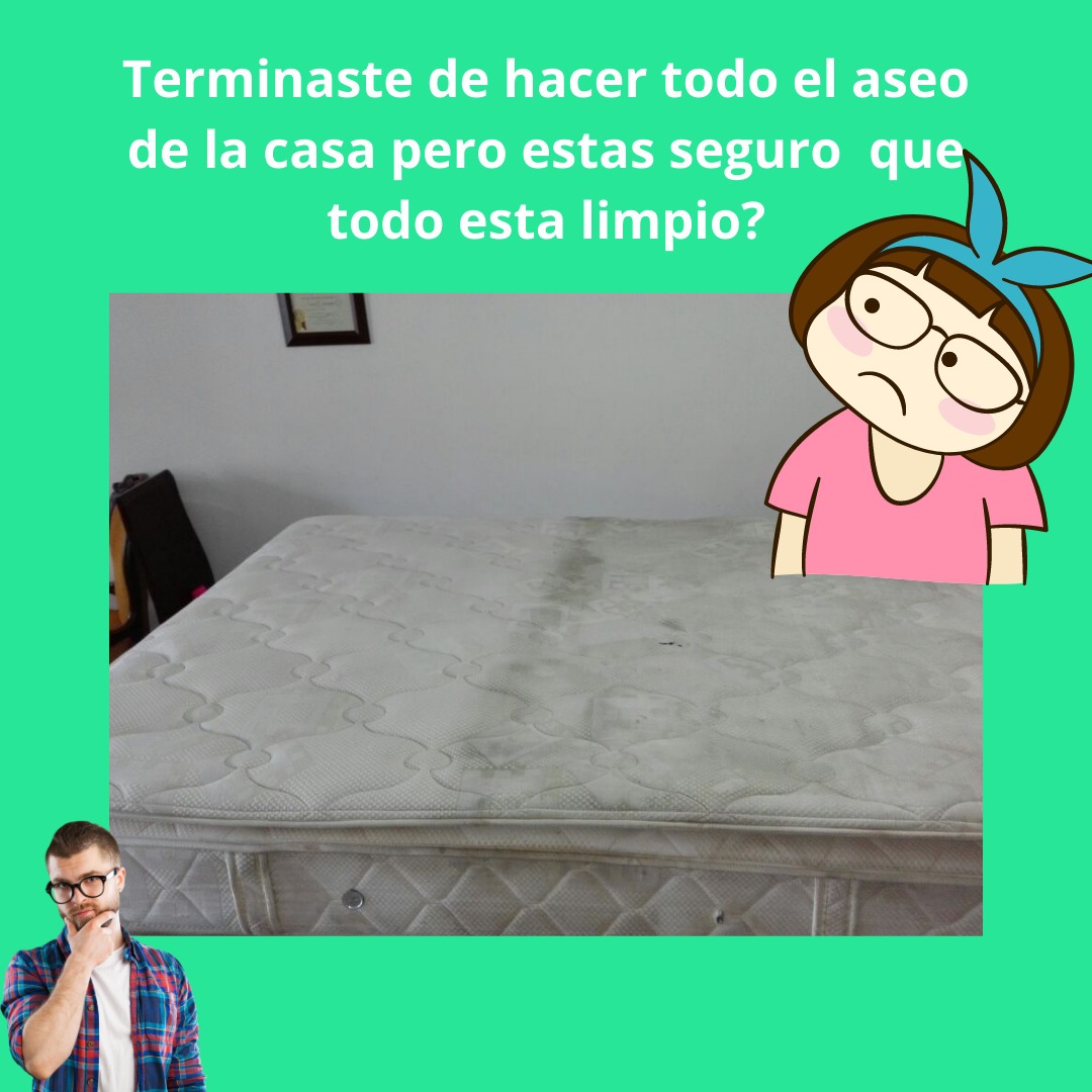 Higienización de colchones en Cali