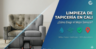 Limpieza de tapicería en Cali